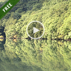 無料素材ダウンロード:映像・動画無料素材