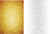 13791007