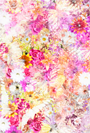 Colorful flowers background