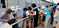 右腕派遣プログラム 写真