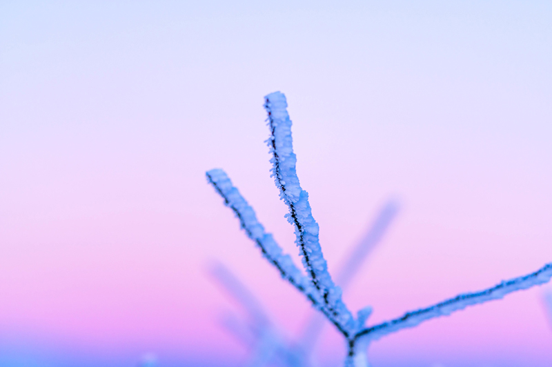 Gradation2