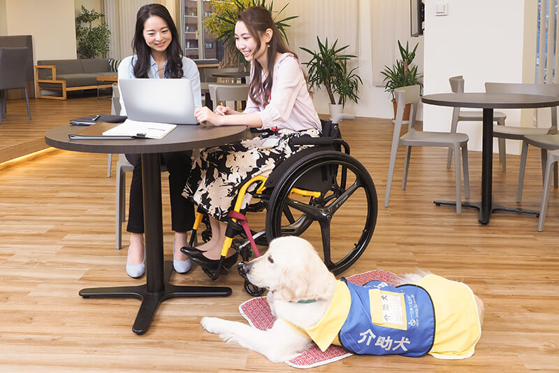 介助犬素材でのこだわり