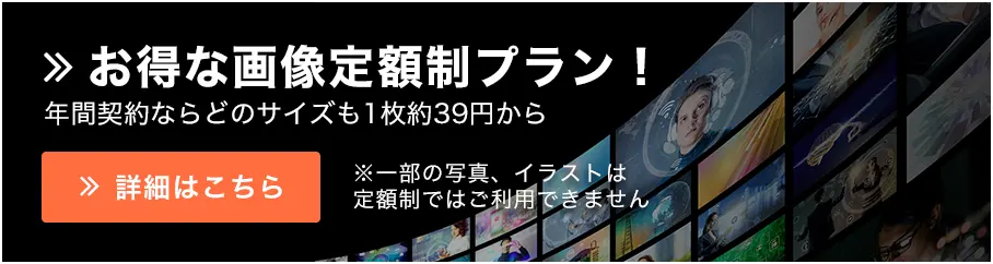 お得に使える定額制プラン！