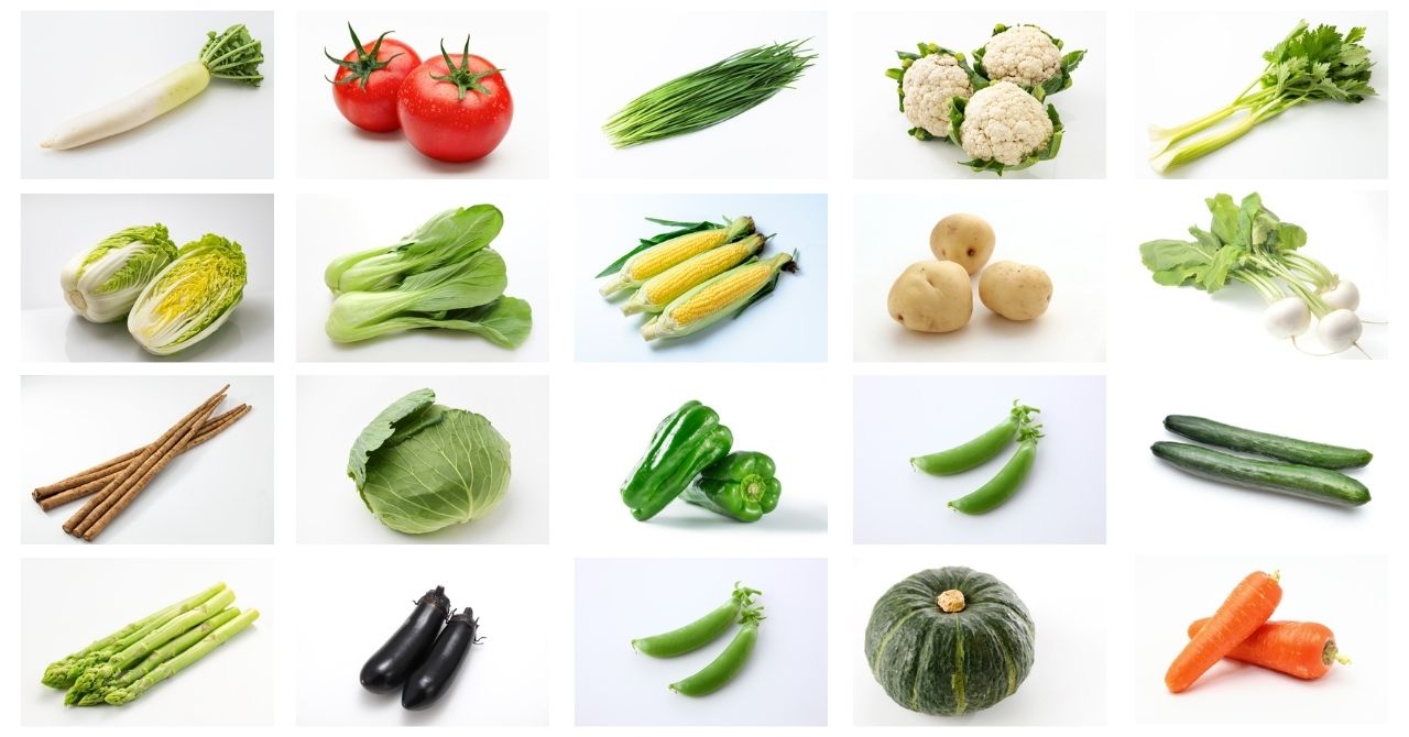野菜サンプル.jpg