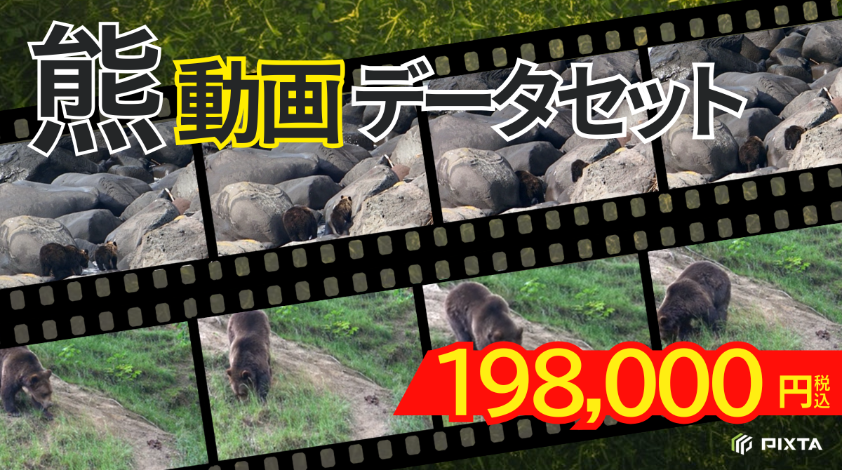 熊動画データセット_アイキャッチ.png